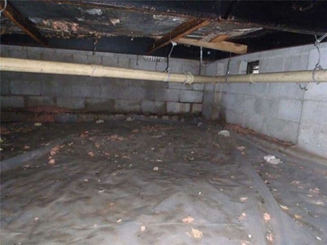Crawlspace Mold: Tips and Tricks To Prevent It!