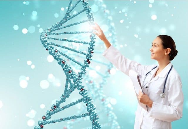 Exploring Genetics