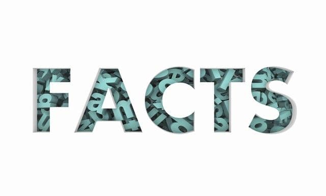 Mold: 10 Facts You Need To Know!
