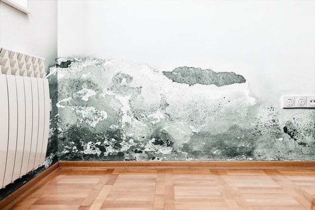 To Prevent Mold Control Moisture!