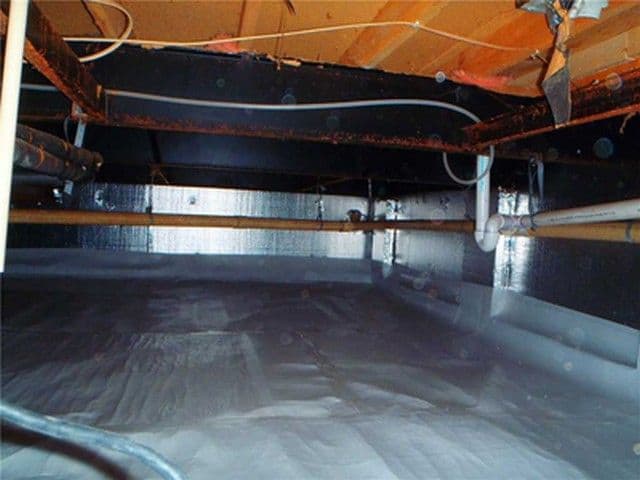 Why Does Mold Grow In Your Crawlspace