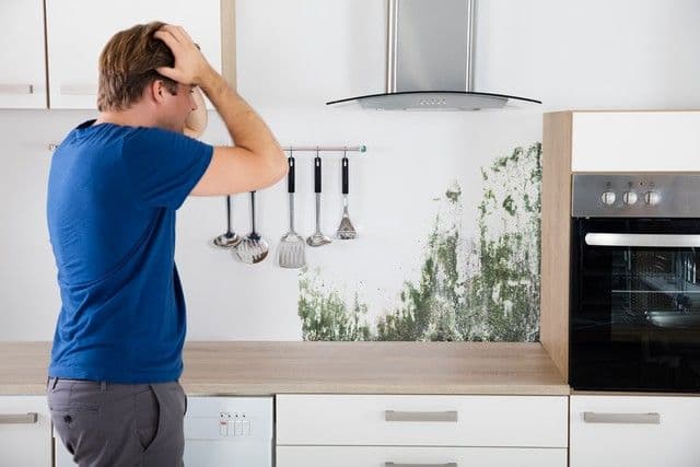 NuTech Mold and Water Services Are Mold Removal Experts That Understand Your Business Needs!