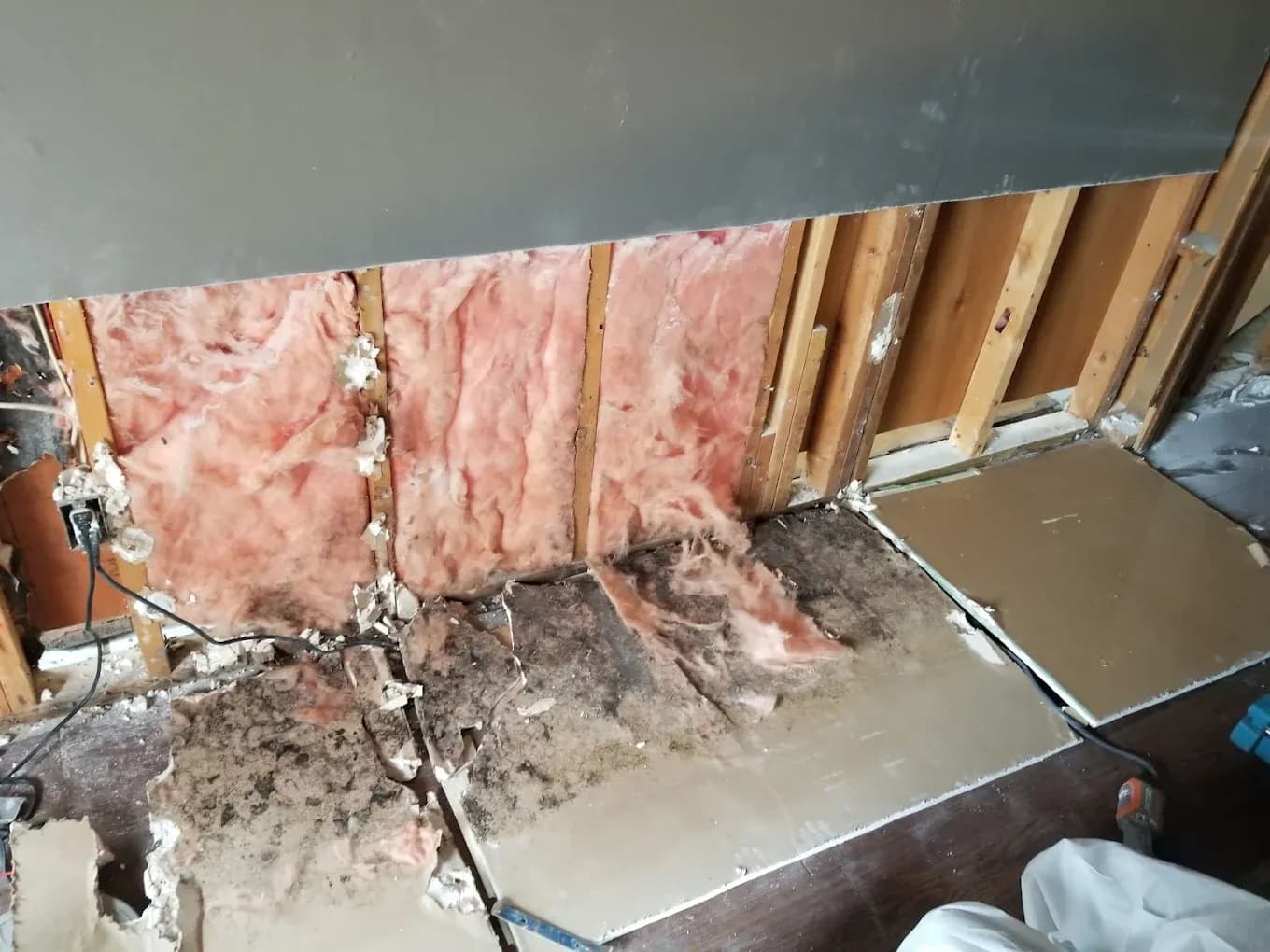 Mold within insulation