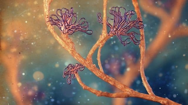 Pathogenic Molds - Abstract depiction of twisted, copper-colored branches with purple, intricate floral shapes set against a dreamy, blurred background of blue and gold.