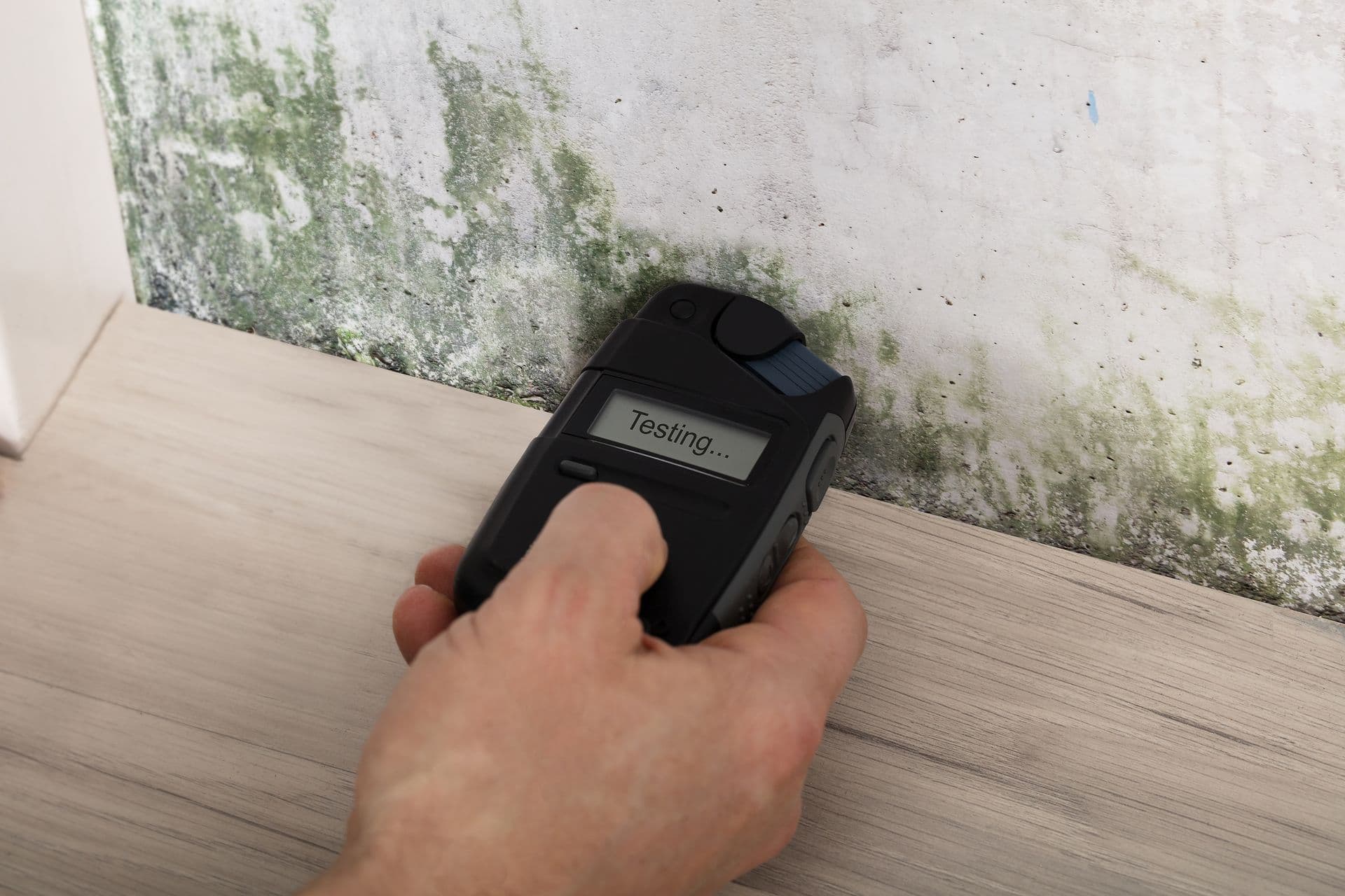 Mold Testing