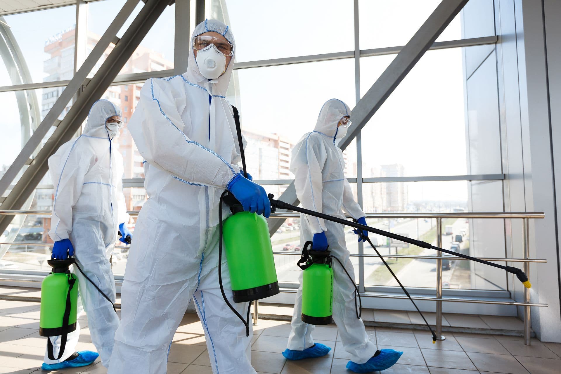 Commercial Mold Removal