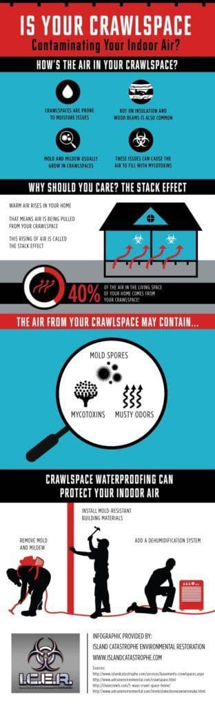 Fact Check: Why Your Crawlspace Needs Vapor Barrier Summary!