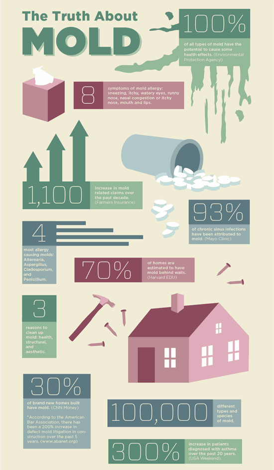 Mold Facts