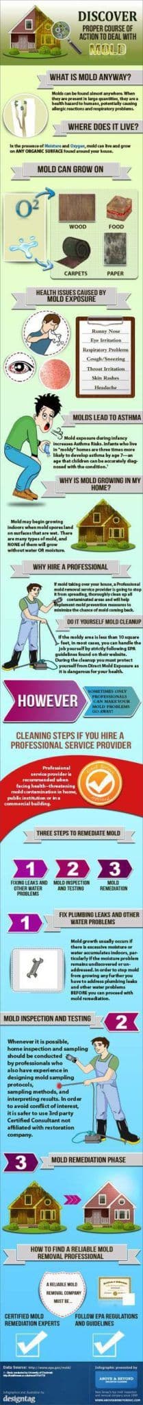 Mold Prevention: 10 Tips Summary!