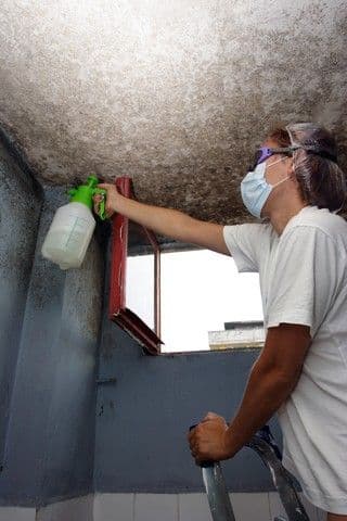 Mold Removal Professionals Follow An Eight Step Process!